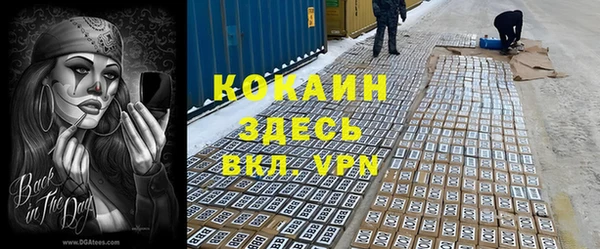 винт Алексин