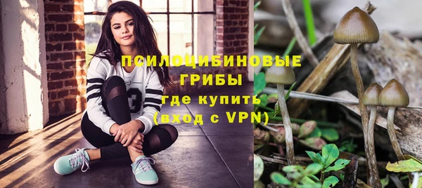сатива Абдулино