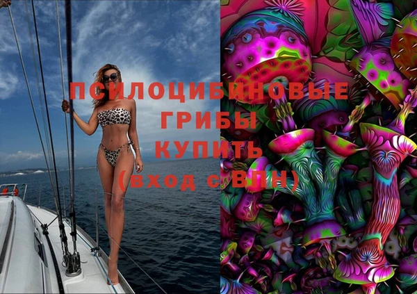 винт Алексин