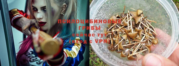 винт Алексин