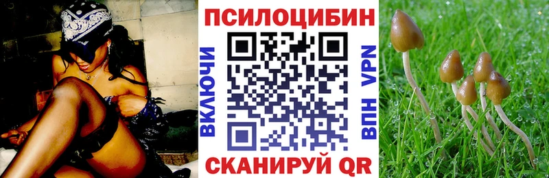 Псилоцибиновые грибы Psilocybine cubensis  площадка какой сайт  Чапаевск 
