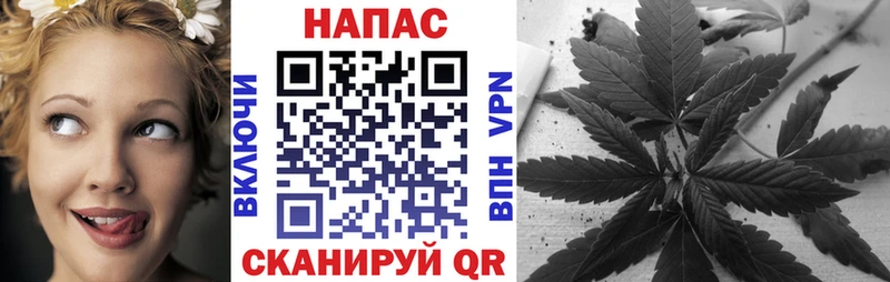 наркотики  Чапаевск  Каннабис план 